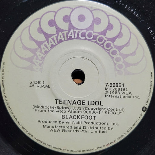 Blackfoot – Teenage Idol (LP, Vinyl Record Album)
