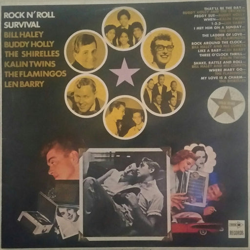 Various – Rock 'N Roll Survival (LP, Vinyl Record Album)
