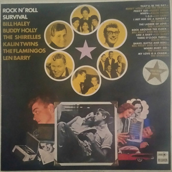 Various – Rock 'N Roll Survival (LP, Vinyl Record Album)