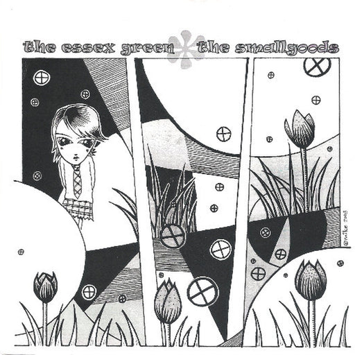 The Late Great Cassiopia / Abraham Lincoln – The Essex Green, The Smallgoods (LP, Vinyl Record Album)