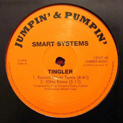 Smart Systems – Tingler (LP, Vinyl Record Album)