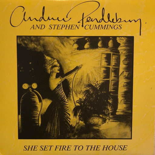 Andrew Pendlebury, Stephen Cummings – She Set Fire To The House (LP, Vinyl Record Album)