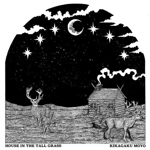 Kikagaku Moyo – House In The Tall Grass (LP, Vinyl Record Album)