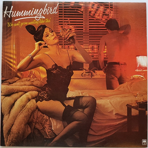 Hummingbird – We Can't Go On Meeting Like This (LP, Vinyl Record Album)