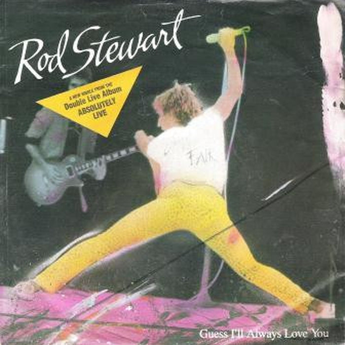 Rod Stewart – Guess I'll Always Love You (LP, Vinyl Record Album)