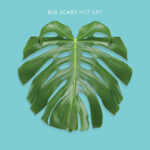 Big Scary – Not Art (LP, Vinyl Record Album)