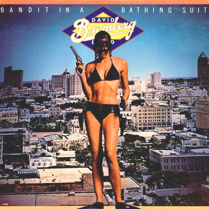 David Bromberg Band – Bandit In A Bathing Suit (LP, Vinyl Record Album)