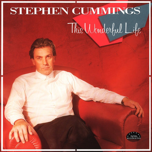Stephen Cummings – This Wonderful Life (LP, Vinyl Record Album)