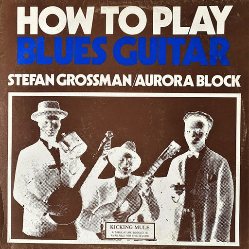 Stefan Grossman – How To Play Blues Guitar (LP, Vinyl Record Album)