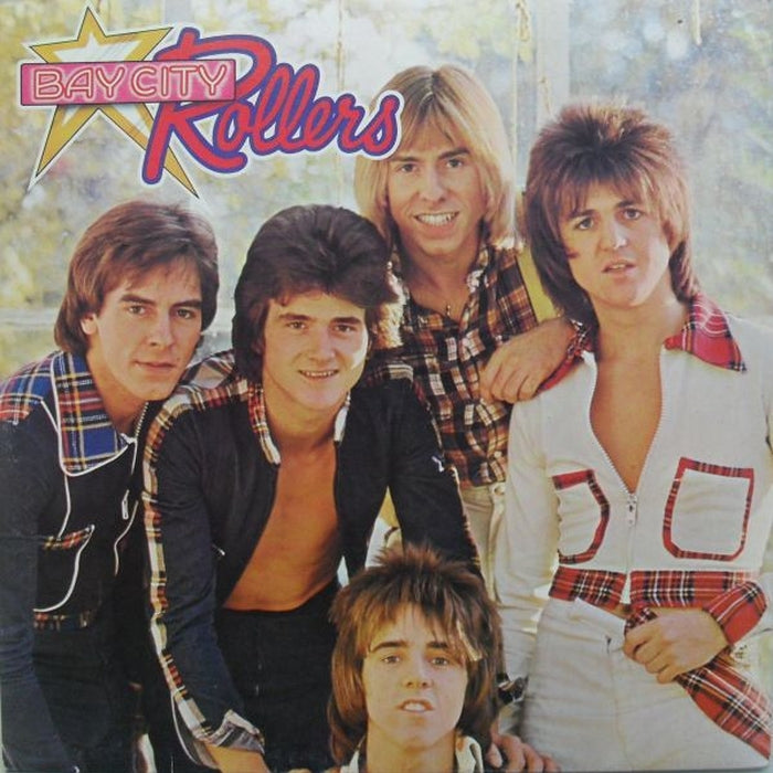 Bay City Rollers – Wouldn't You Like It? (LP, Vinyl Record Album)