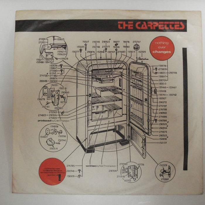 Nothing Ever Changes – The Carpettes (LP, Vinyl Record Album)