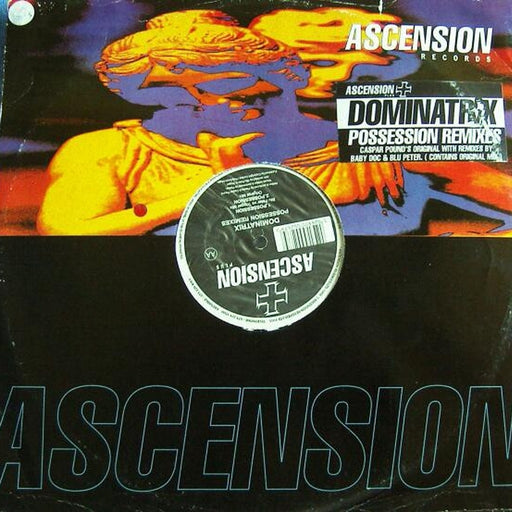 Dominatrix UK – Possession Remixes (LP, Vinyl Record Album)