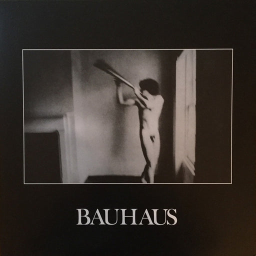 Bauhaus – In The Flat Field (LP, Vinyl Record Album)