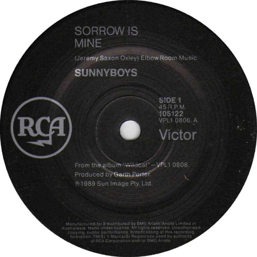 Sunnyboys – Sorrow Is Mine (LP, Vinyl Record Album)
