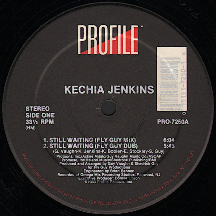 Kechia Jenkins – Still Waiting (LP, Vinyl Record Album)