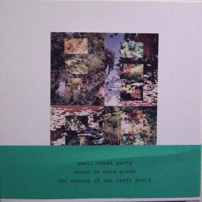 Small Cruel Party – Stain On Pure Glass (LP, Vinyl Record Album)