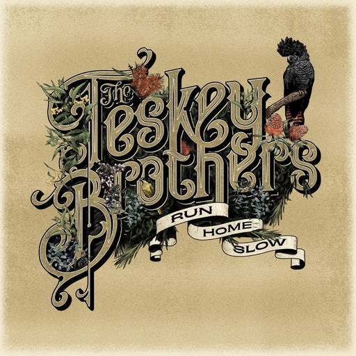 Run Home Slow – The Teskey Brothers (LP, Vinyl Record Album)