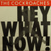 The Cockroaches – Hey What Now! (LP, Vinyl Record Album)