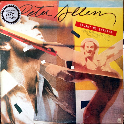 Peter Allen – Taught By Experts (LP, Vinyl Record Album)