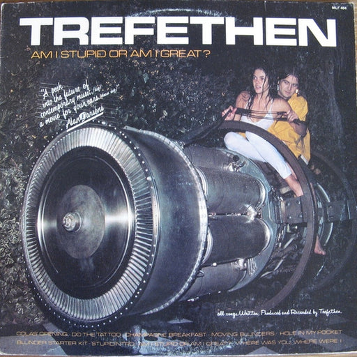 Tom Trefethen – Am I Stupid Or Am I Great? (LP, Vinyl Record Album)