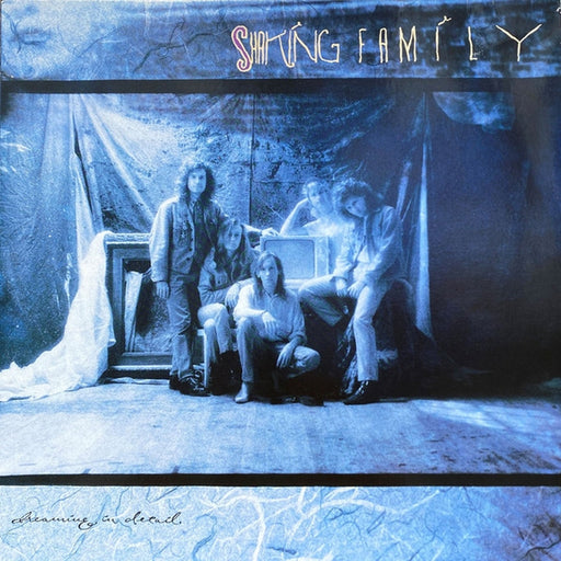 Shaking Family – Dreaming In Detail (LP, Vinyl Record Album)