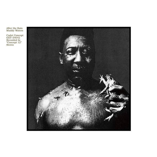 Muddy Waters – After The Rain (LP, Vinyl Record Album)