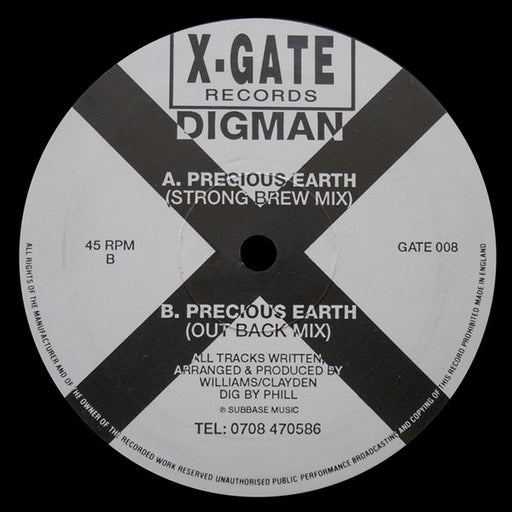 Digman – Precious Earth (LP, Vinyl Record Album)