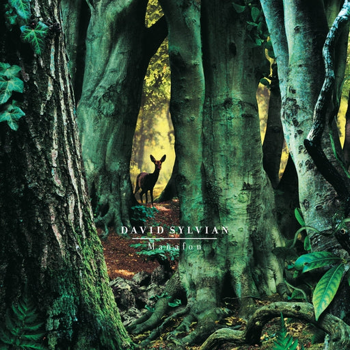 David Sylvian – Manafon (2xLP) (LP, Vinyl Record Album)