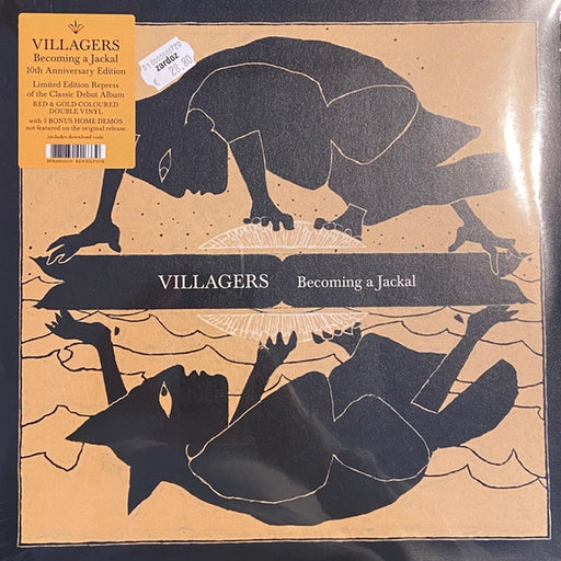 Villagers – Becoming A Jackal (LP, Vinyl Record Album)