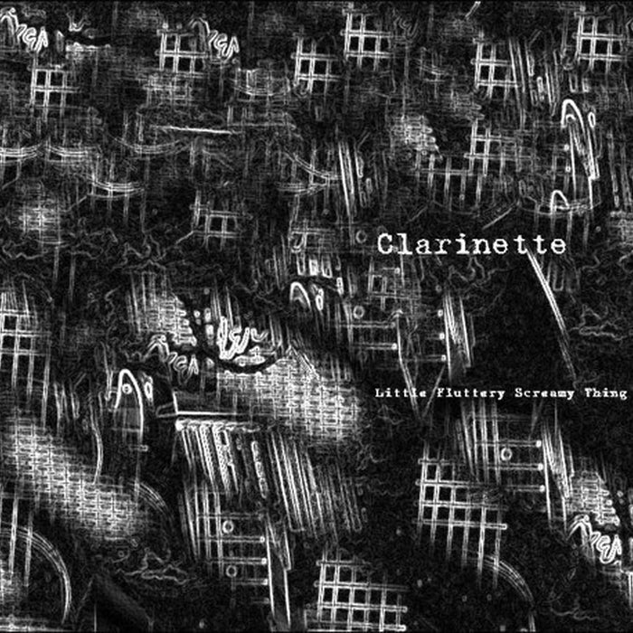 Clarinette – Little Fluttery Screamy Thing (LP, Vinyl Record Album)