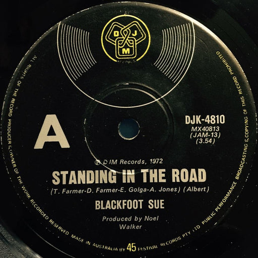 Blackfoot Sue – Standing In The Road (LP, Vinyl Record Album)