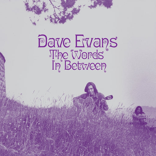 Dave Evans – The Words In Between (LP, Vinyl Record Album)