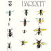 Syd Barrett – Barrett (LP, Vinyl Record Album)