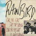 Rainbirds – Call Me Easy Say I'm Strong Love Me My Way It Ain't Wrong (LP, Vinyl Record Album)