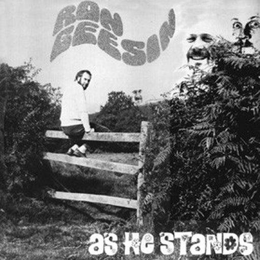 Ron Geesin – As He Stands (LP, Vinyl Record Album)