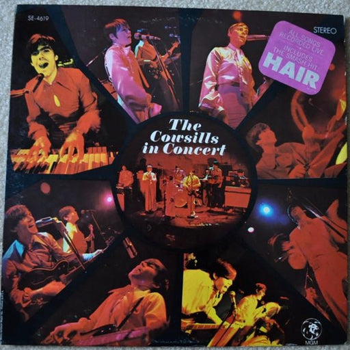 The Cowsills – In Concert (LP, Vinyl Record Album)