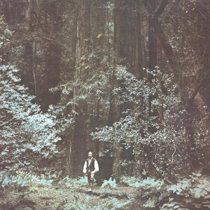 Paul Winter, The Winter Consort – Something In The Wind (LP, Vinyl Record Album)