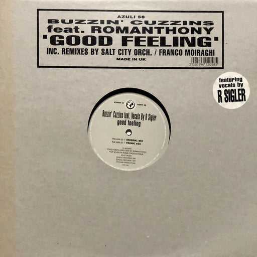 Buzzin Cuzzins, Romanthony – Good Feeling (LP, Vinyl Record Album)