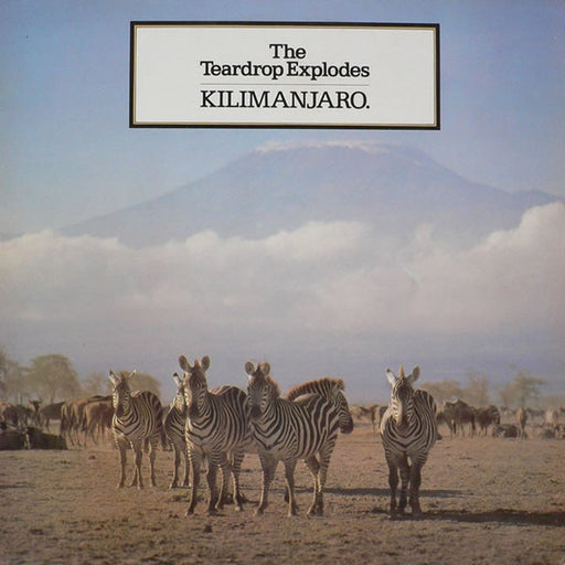 The Teardrop Explodes – Kilimanjaro (LP, Vinyl Record Album)