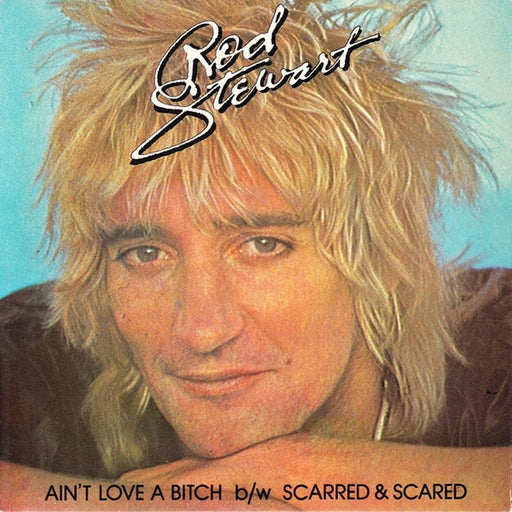 Rod Stewart – Ain't Love A Bitch (LP, Vinyl Record Album)