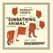 Parquet Courts – Sunbathing Animal (LP, Vinyl Record Album)