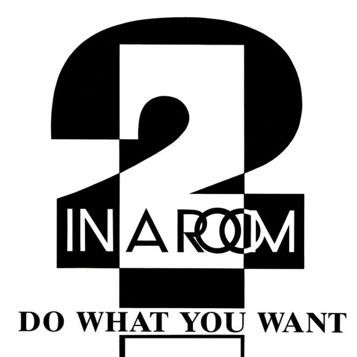 2 In A Room – Do What You Want (LP, Vinyl Record Album)