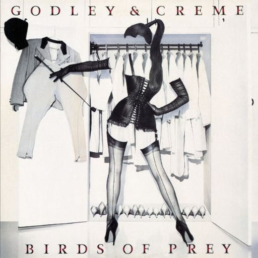 Godley & Creme – Birds Of Prey (LP, Vinyl Record Album)