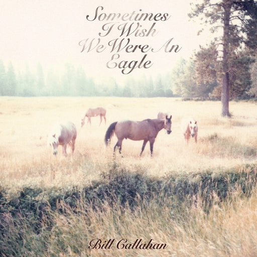 Bill Callahan – Sometimes I Wish We Were An Eagle (LP, Vinyl Record Album)