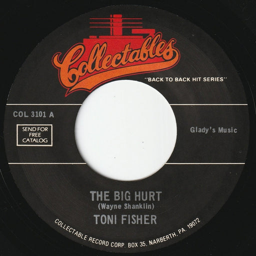 Toni Fisher, Gogi Grant – The Big Hurt / The Wayward Wind (LP, Vinyl Record Album)