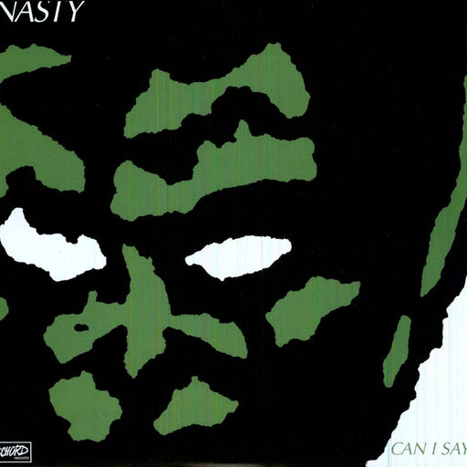 Dag Nasty – Can I Say (LP, Vinyl Record Album)