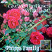 Give Me The Roses While I Live – The Phipps Family (LP, Vinyl Record Album)