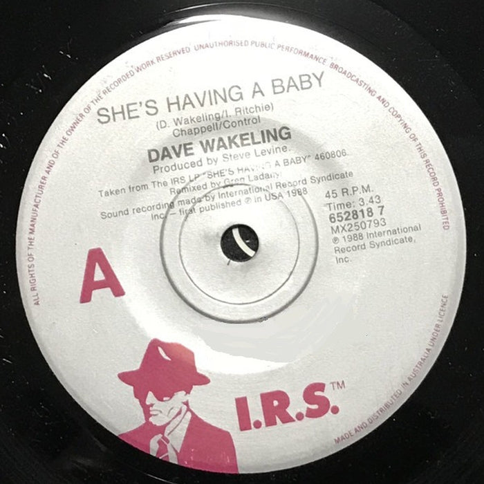Dave Wakeling, Kirsty MacColl – She's Having A Baby / You Just Haven't Earned It Yet, Baby (LP, Vinyl Record Album)