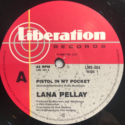 Alan Pillay – Pistol In My Pocket (LP, Vinyl Record Album)