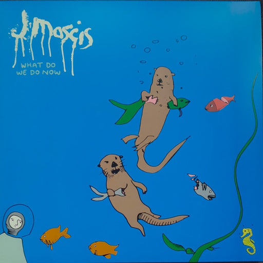 J Mascis – What Do We Do Now (LP, Vinyl Record Album)